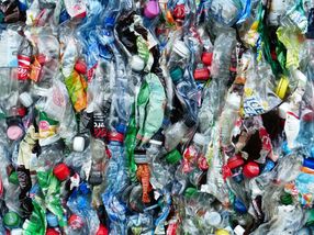 17,4 Milliarden Einweg-PET-Flaschen jährlich - Grüne fordern Abgabe