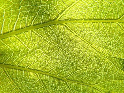 Eco-Friendly Nanoparticles for Artificial Photosynthesis