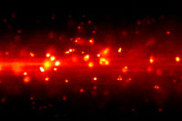 Bessere Bildkontraste für Mikroskope