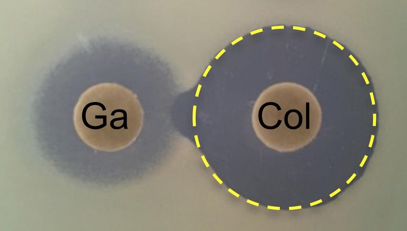 C.H. Goss et al., Science Translational Medicine (2018)