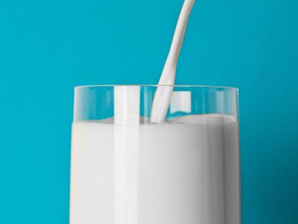 Bauern bekommen mehr Geld für Milch - Verbraucherpreise noch unklar