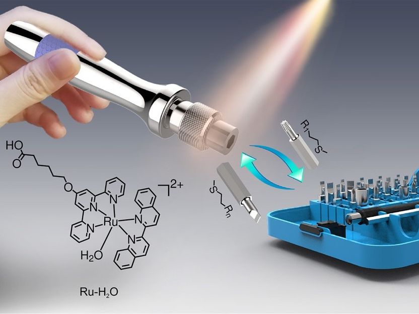 Molecular multitools - Researchers develop method to structure surfaces using visible light