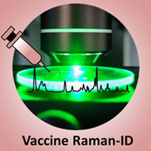 Mit Raman-Spektroskopie schnelle Analyse von Impfstoffen möglich