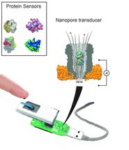 Einzelmoleküle in Nanolitern Blut in Echtzeit messen
