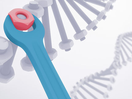 Genetic disease healed using genome editing