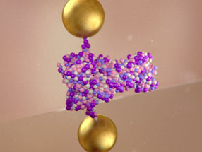 Dynamik einzelner Proteine