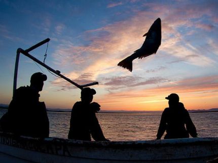 Study leads to a question: Should the fishing industry insure itself against risk?