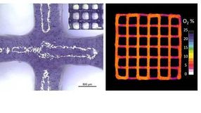 Bioprinting von künstlichen menschlichen Geweben