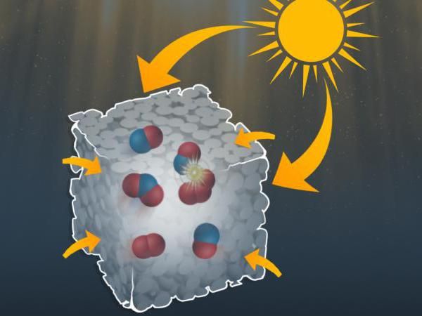 Nanoreaktoren zur Synthese organischer Substanzen mit sichtbarem Licht - Eine neue Art von Photokatalysatoren - Nanostrukturen aus Titandioxid