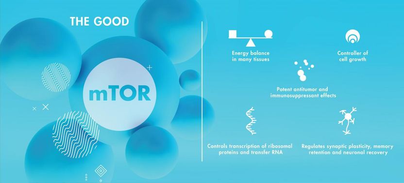 In the fight against Alzheimer's, Down syndrome may hold vital clues