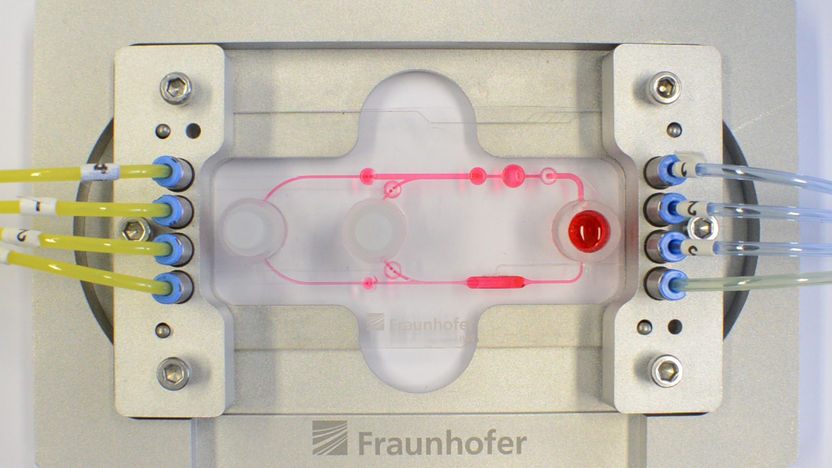 © Fraunhofer IWS Dresden