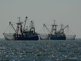 Illegaler Beifang - Was machen Fischer seit dem Rückwurfverbot?