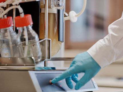 Bioreaktor in Betrieb