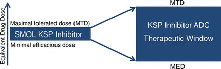 Flexible, Stable and Potent Against Cancer