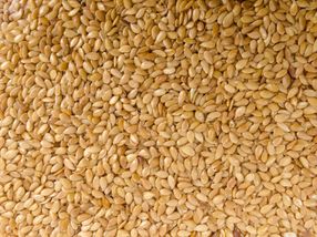 FDA asks for input on sesame allergies and food labeling