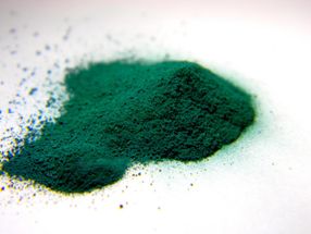 Investigation of inorganic pigments with apatite structure
