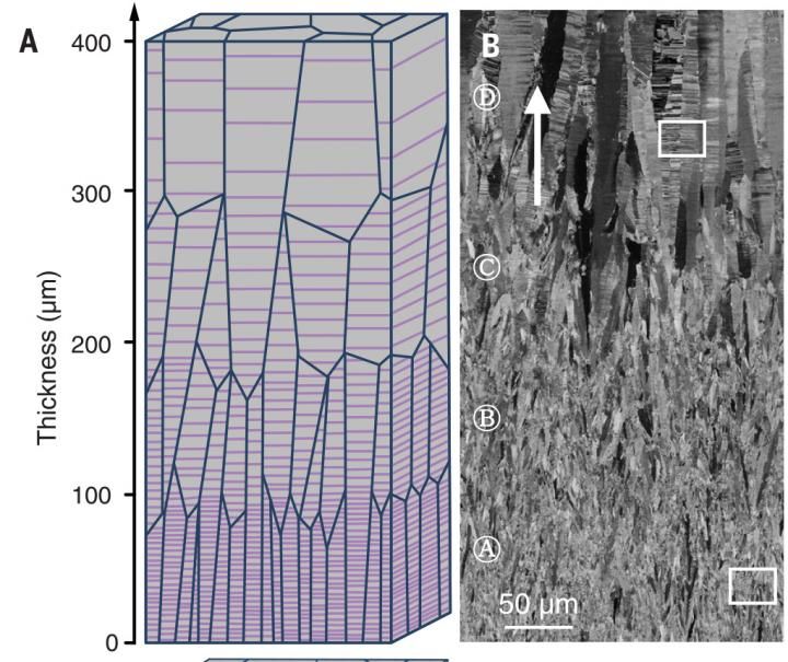 Spaced-out nanotwins make for stronger metals