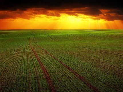 Bundesumweltministerin legt Plan für Glyphosat-Ausstieg vor