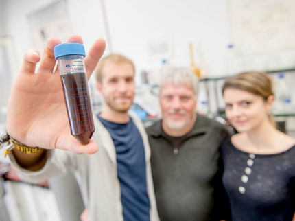 Metallische Nano-Katalysatoren ahmen die Struktur von Enzymen nach