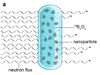How to produce fluorescent nanoparticles for medical applications in a nuclear reactor