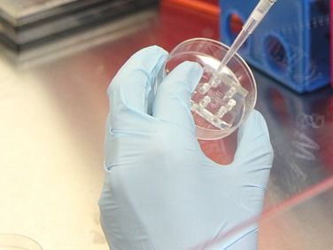 Diese 5 Food Trends erwarten uns in 20 Jahren