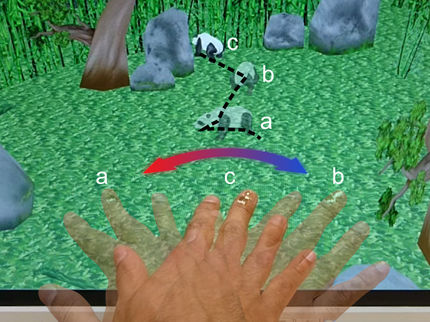 Elektronische Haut zeigt Weg nach Norden