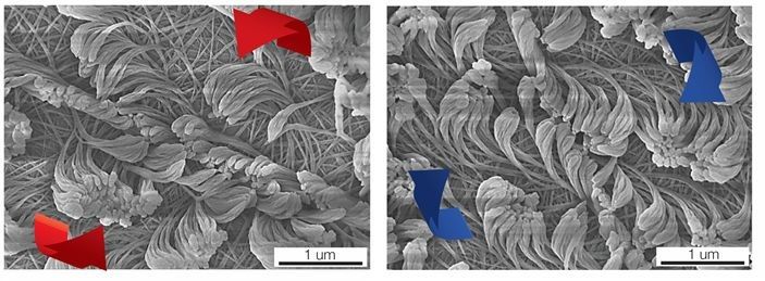 Neue Materialien: Wie Polymerpelze selbstorganisiert wachsen - Bedampfen von Flüssigkristallschicht mit reaktionsfähigen Molekülen liefert maßgeschneiderte Nanofasern