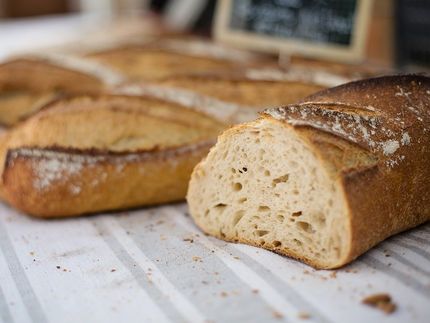 3 global bakery trends to look for in 2019