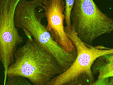 Gen-Radiergummi: Neuer Behandlungsansatz bei chronischen Erkrankungen
