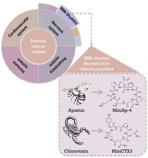 Veneno de escorpión para hacer llegar fármacos al cerebro