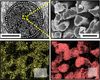 Cotton-based hybrid biofuel cell could power implantable medical devices