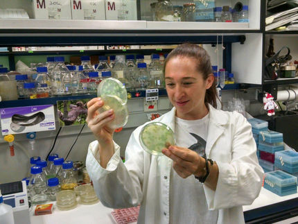 Una nueva técnica predice la resistencia de los microbios intestinales a los antibióticos