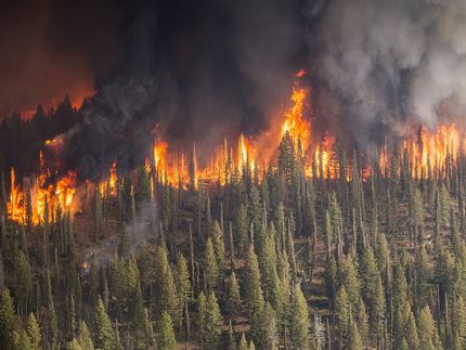 Waldbrand