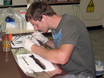 The secret of brown trout dying uncovered
