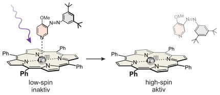 Lichtschalter für Enzyme