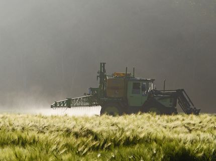 Glyphosate: Bayer refers to fewer cancer studies than assumed