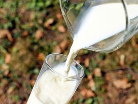 Ihre Anfrage an Vereinigung Österreichischer Milchverarbeiter (VÖM)