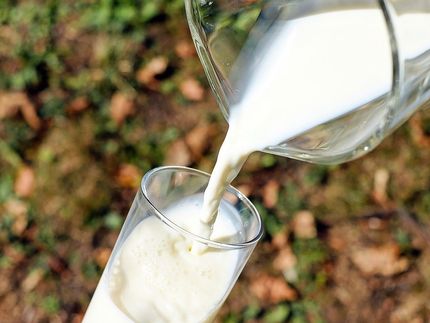 Kostensteigerungen erfordern Preisanpassungen bei Milchprodukten
