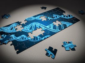 Feinabstimmung der Genschere CRISPR