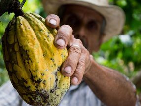INKOTA welcomes minimum price increase by Fairtrade