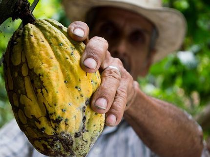 INKOTA begrüßt Mindestpreis-Erhöhung durch Fairtrade