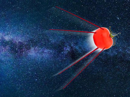 Weltraum-Tomaten: Satellit mit Gewächshaus ins All gestartet