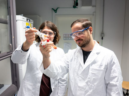 Neuer Katalysator erzielt bisher unerreichte Aktivitäten