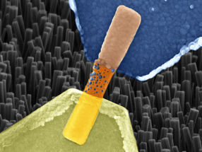Künstliche Synapse aus Nanodrähten