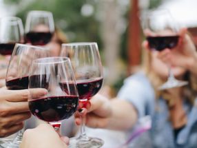 Bio-Weine bringen Dynamik in den deutschen Weinmarkt