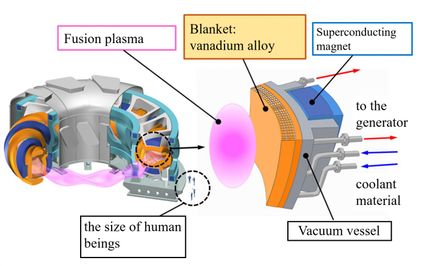 Developing new materials for the fusion reactor