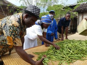 Qualitätskontrolle der Vanille auf Madagaskar