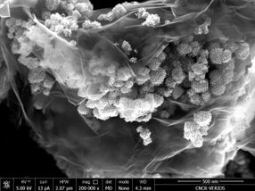 Forschern gelingt Durchbruch bei Lithium-Ionen-Batterien