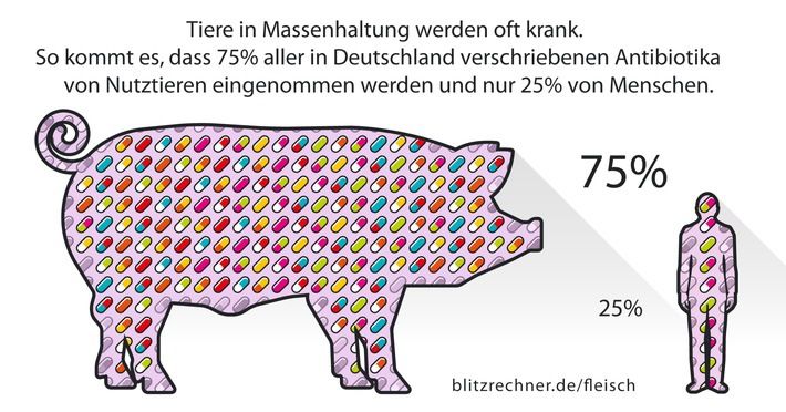 https://www.blitzrechner.de/fleisch