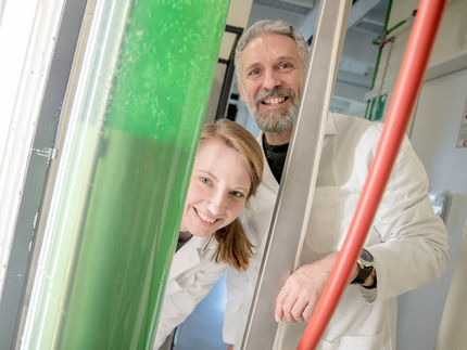 Struktur und Funktion von Fotosyntheseprotein im Detail aufgeklärt